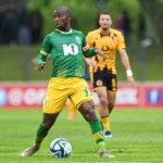 Nduduzo Sibiya: Player Profile and Biography