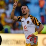 Samir Nurkovic: Player Profile and Biography