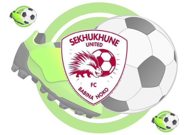 PSL 2023 to 2024 Season Fixtures, current team squad, top players: with the most cards, assists, and goals scorers for Sekhukhune United F.C. Team Profile