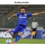 Bradley Grobler: A Comprehensive Player Profile and Biography