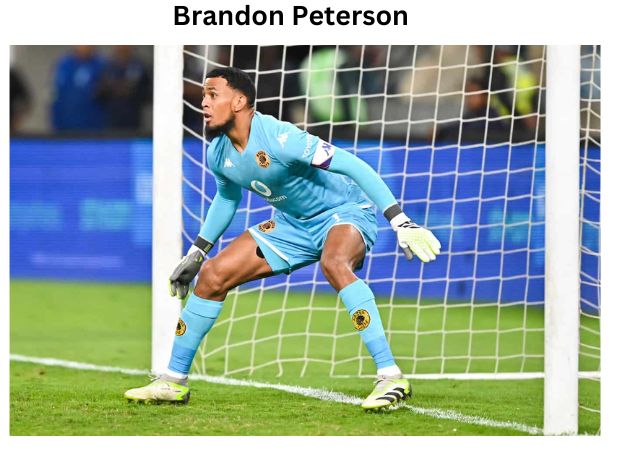 Brandon Peterson: A Comprehensive Player Profile and Biography