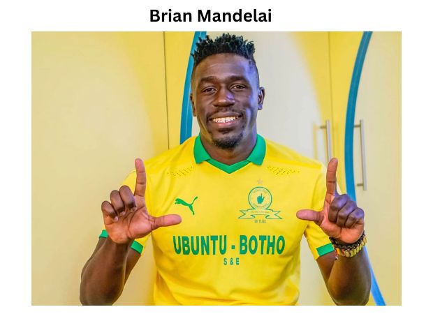 Brian Mandelai: Complete Player Profile and Biography