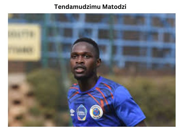 Tendamudzimu Matodzi: Complete Player Profile and Biography