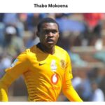 Thabo Mokoena: A Comprehensive Player Profile and Biography