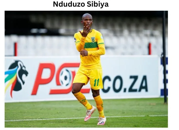 Nduduzo Sibiya: A Comprehensive Player Profile and Biography