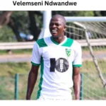 Velemseni Ndwandwe: Player Profile and Biography