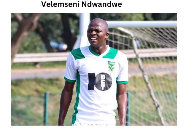 Velemseni Ndwandwe: Player Profile and Biography